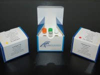 New DNA Technologies Generate Results from Challenging Forensic Samples