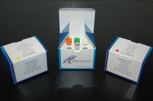 InnoTyper™ 21 Kit